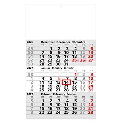 Geiger-Notes 3-Monats-Wandkalender Basic 2026, hellgrau