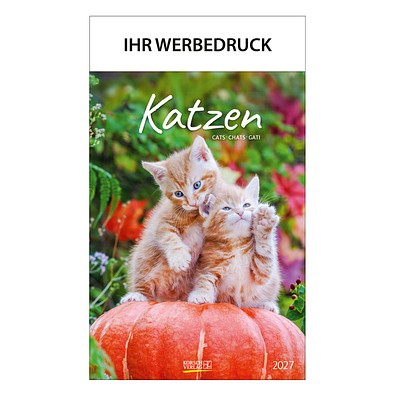 Bild-Wandkalender Katzen 2026