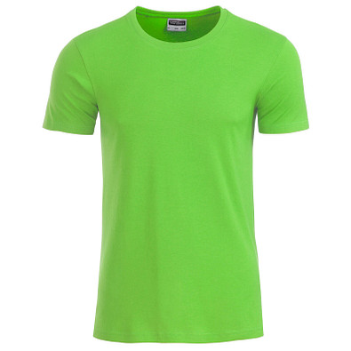 JAMES & NICHOLSON Herren T-Shirt Basic aus Bio-Baumwolle, hellgrün, XXL