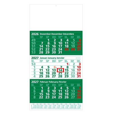 Geiger-Notes Maxi-3-Monats-Wandkalender 2026, grün