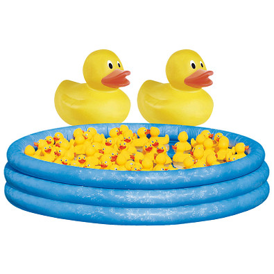 Spar Set Midi Enten 161-tlg., Inkl. Druck