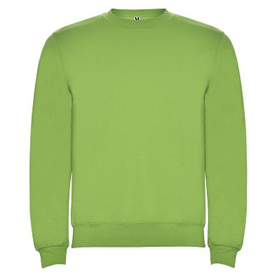 Clasica Sweatshirt mit Rundhalsausschnitt für Kinder, Oasis Green, 11/12