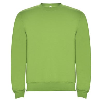 Clasica Sweatshirt mit Rundhalsausschnitt für Kinder, Oasis Green, 5/6