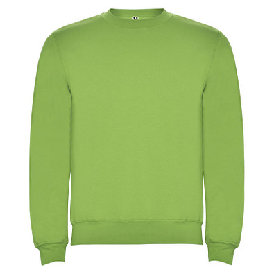 Clasica Sweatshirt mit Rundhalsausschnitt Unisex, Oasis Green, M