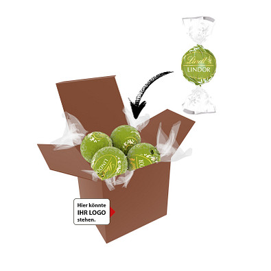 Color Lindor Box - Braun - Pistazie