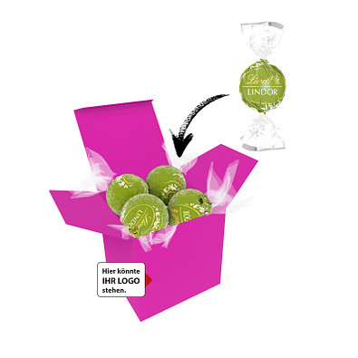 Color Lindor Box - Pink - Pistazie
