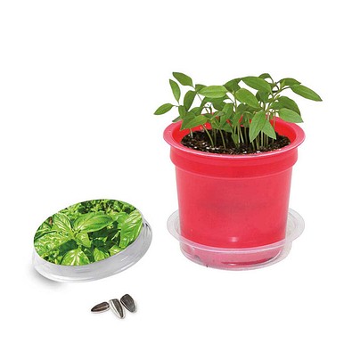 Florero-Töpfchen mit Samen, rot, Basilikum, 1-seit. Druck