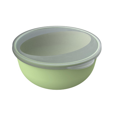 Food-Bowl ToGo, Classic, 1,0 l, geselliges grün/transparent-milchig