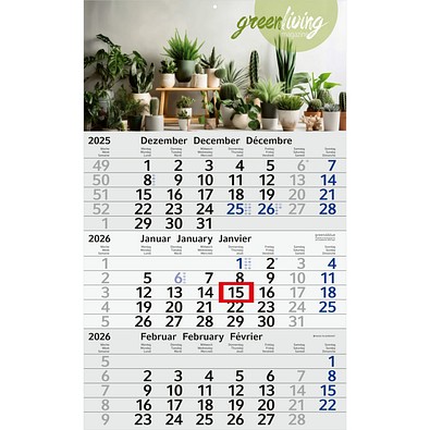 Geiger-Notes Monatskalender Budget 3 green+blue, inkl. Druck, blau