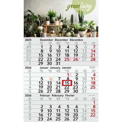 Geiger-Notes Monatskalender Budget 3 green+blue, inkl. Druck, rot