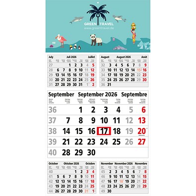 Geiger-Notes Monatskalender Budget 5 Bestseller, inkl. Druck