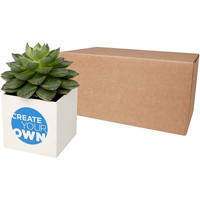 Hey Pots Blumentopf aus Aluminium, Sukkulente, weiss