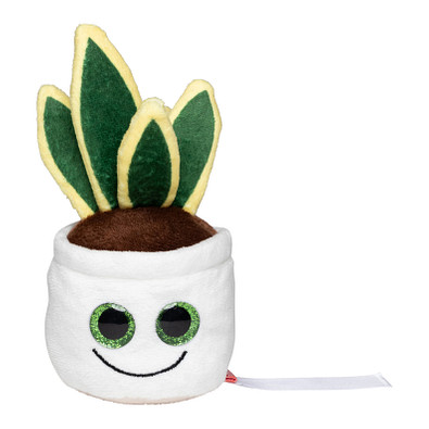 MiniFeet® Displayreiniger Schmoozies® Evergreenies® Bogenhanf