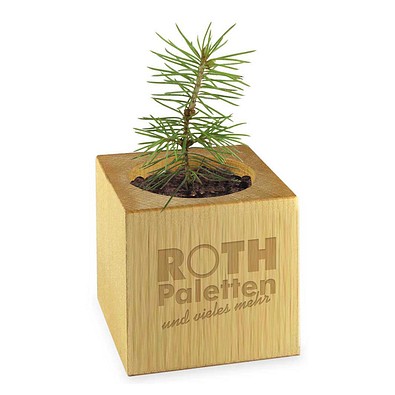 Pflanz-Holz, Standardmotiv, Frohe Weihnachten, 2 Seiten gelasert, Gravur