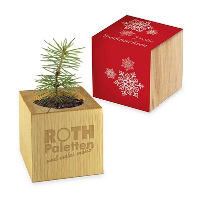 Pflanz-Holz, Standardmotiv, Frohe Weihnachten, 1-seit. Laser