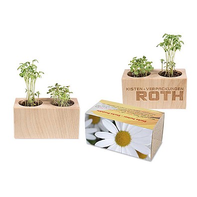 Pflanz-Holz 2er Set mit Samen, Margerite, 1-seit. Druck