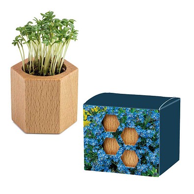 Pflanz-Holz Hexagon mit Samen, Vergissmeinnicht, 1-seit. Druck