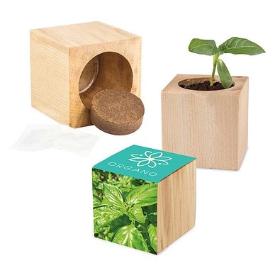 Pflanz-Holz Maxi mit Samen, Basilikum, 1-seit. Druck