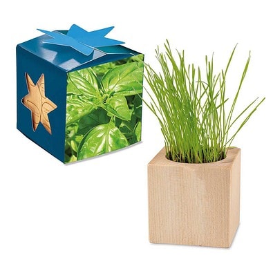 Pflanz-Holz Maxi Star-Box mit Samen, Basilikum, 1-seit. Druck