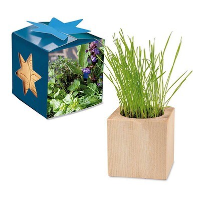 Pflanz-Holz Maxi Star-Box mit Samen, Kräutermischung, 1-seit. Druck