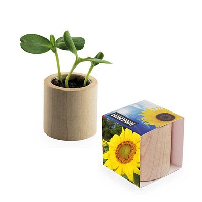 Pflanz-Holz rund mit Samen, Sonnenblume, 1-seit. Druck