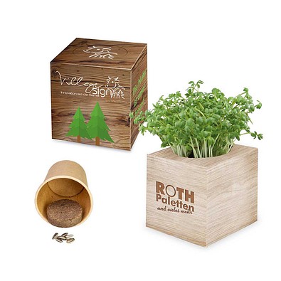 Pflanz-Würfel 2.0 mit Samen, Ostern, Eierbaumsamen, 1-seit. Druck