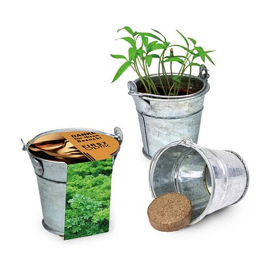 Pflanzeimerchen mit Samen, Petersilie, 1-seit. Druck