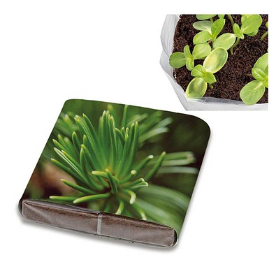 PopUp Anzuchterde mit Samen, Fichte, 1-seit. Druck