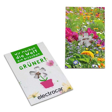 Samen-Karte-Mini Blume, Ostern, Sommerblumenmischung, 2-seit. Druck