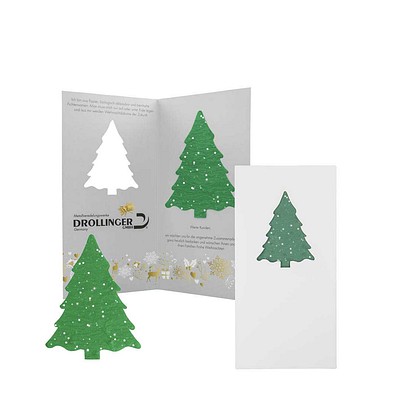 Samenpapier-Karte Fichte, Graspapier, 1-seit. Druck