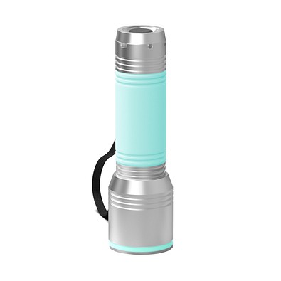 Taschenlampe REEVES-myFLASH 700, silber/mint