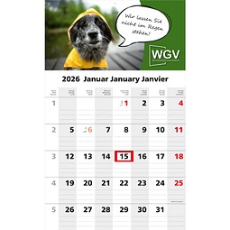 1-Monatskalender Solo 1 Bestseller (Einblatt)