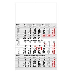 Geiger-Notes 3-Monats-Wandkalender Basic 2027, hellgrau