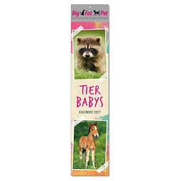Bildstreifenkalender Tierbabys, 2026