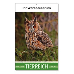 Bildkalender Blick ins Tierreich