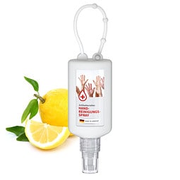 Handreinigungsspray antibakteriell, inkl. Druck, Bumper 50 ml, frost