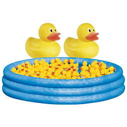 Spar Set Midi Enten 161-tlg., Inkl. Druck