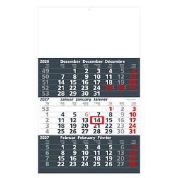 Werbe-Set: 150 Wandkalender 2026, inkl. Druck, dunkelgrau