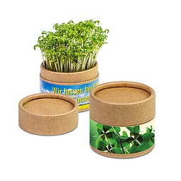 Pflanz-Cup inkl. Samen - Weihnachten - Glücksklee-Zwiebeln, inkl. Druck, individuell