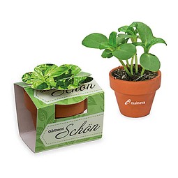 Tontöpfchen-Blume inkl. Samen - Basilikum, inkl. Druck, individuell