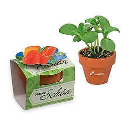 Tontöpfchen-Blume inkl. Samen - Gewürzpaprika, inkl. Druck, individuell