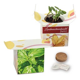 Blumenampel, Basilikum, 1-seit. Druck