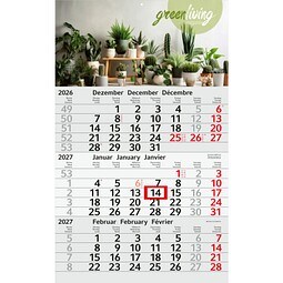 Geiger-Notes Monatskalender Budget 3 green+blue, inkl. Druck, rot