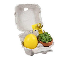 Das Gelbe vom Ei, mit Tontöpfchen, Eierkerze, Backförmchen, 1-seit. Druck