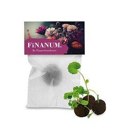 Flower-Balls im Pergamintütchen, 1 Stück, 1-seit. Druck