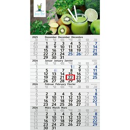 Geiger-Notes Monatskalender Budget 4 green+blue, inkl. Druck, blau