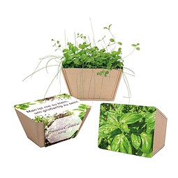 Mini-Beet mit Samen, Basilikum, 1-seit. Druck