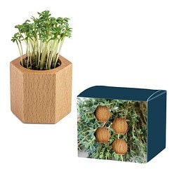 Pflanz-Holz Hexagon mit Samen, Ostern, Thymian, 1-seit. Druck
