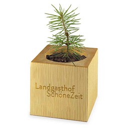 Pflanz-Holz Maxi Xmas mit Fichtensamen, Fichte, 1-seit. Druck