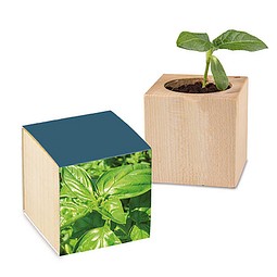 Pflanz-Holz mit Samen, Basilikum, 1-seit. Druck